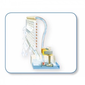 Scotsman Παγομηχανή Κάθετου Στοιχείου με Ημερήσια Παραγωγή 190kg | Oasis NW 307 xSafe