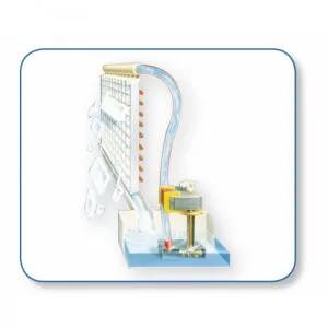 Scotsman Παγομηχανή Κάθετου Στοιχείου με Ημερήσια Παραγωγή 215kg | Oasis NW 457 xSafe