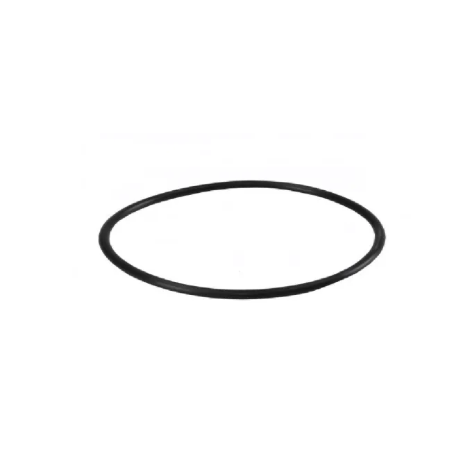 O-ring for 10" Filter Container | Oasis O-ring 